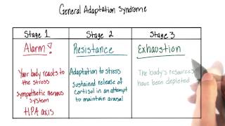 General adaptation syndrome  Intro to Psychology [upl. by Ecnaralc]