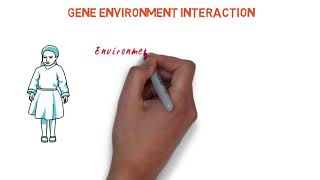 Gene Environment Interaction [upl. by Rogers]