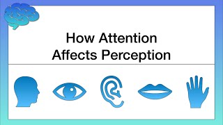 How Attention Affects Perception [upl. by Katharina]