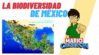 La Biodiversidad de México [upl. by Aineval]