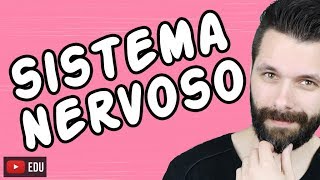 SISTEMA NERVOSO  FISIOLOGIA  Aula  Biologia com Samuel Cunha [upl. by Remos266]