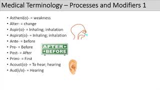 Medical Terminology  The Basics  Lesson 5 [upl. by Namolos382]