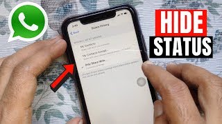 How to Hide WhatsApp Status from Specific Contacts on iPhone [upl. by Epolenep]