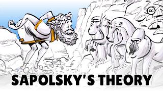 Sapolsky’s Theory of Evolutionary Psychology [upl. by Iret35]