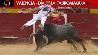 VALENCIA  LEYENDAS Y RECORTADORES CON TOROS DE DIFERENTES GANADERÍAS [upl. by Garges]