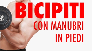 BICIPITI 💪 CON MANUBRI LA TECNICA 👌 CORRETTA  TUTORIAL [upl. by Meurer551]