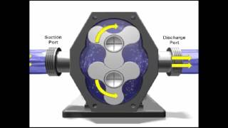 Rotary Pump Demonstration [upl. by Chang28]