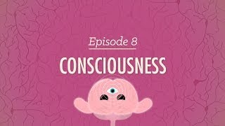 Consciousness Crash Course Psychology 8 [upl. by Aivun]