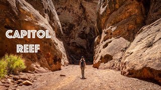 Capitol Reef National Park  Hiking Grand Wash amp Cassidy Arch Trails [upl. by Annij208]