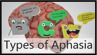 Aphasia Types Mnemonic [upl. by Assetniuq]