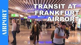 TRANSIT WALK AT FRANKFURT Airport FRA Terminal 1  Connection Flight Transfer Arriving amp Departing [upl. by Aksoyn]